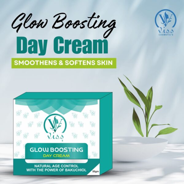 Visscosmetics Glow Boosting Day Cream